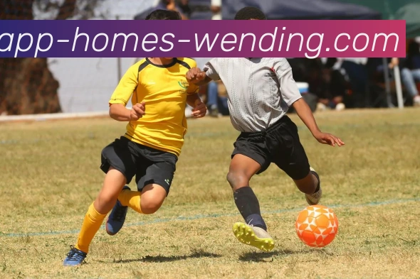 多媒体互动体验